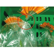 Discover the 3510 Hand-Held Twist Tie Machine – a lightweight, portable solution for fast and efficient tying. Ideal for sealing bags, bundling, and staking, it features an ergonomic design, LED twist indicator, and tool-free ribbon changes. Perfect for all industries.
