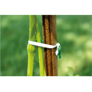 The Tach-It 3510A hand-held twist tie machine is lightweight, portable and ideal for agriculture, floristry, packaging, and more. Ties items up to 35mm diameter, reduces strain injuries, and offers all-day productivity with easy operation and tool-free ribbon changes.