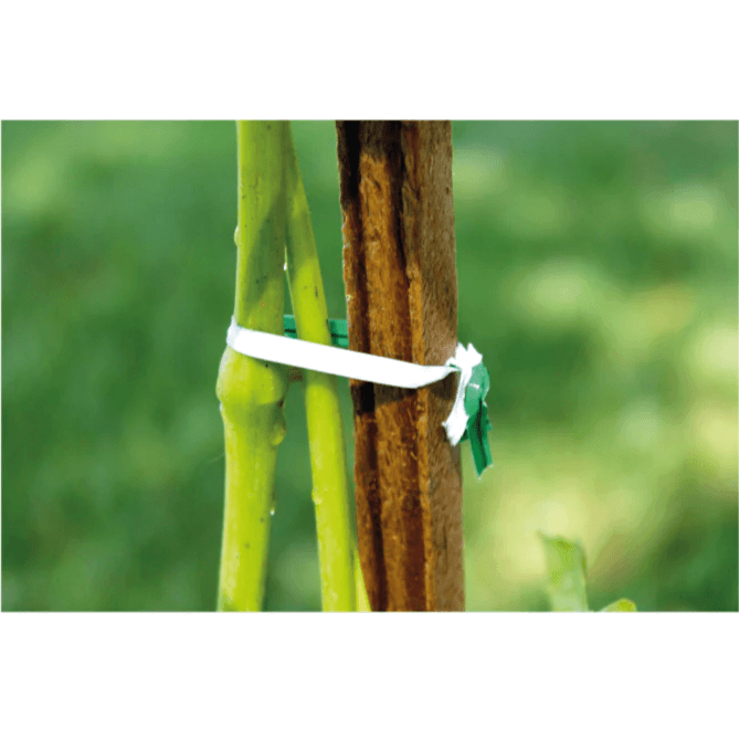 The Tach-It 3510A hand-held twist tie machine is lightweight, portable and ideal for agriculture, floristry, packaging, and more. Ties items up to 35mm diameter, reduces strain injuries, and offers all-day productivity with easy operation and tool-free ribbon changes.